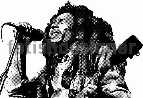 Robert nesta marley said bob marley born february 6 1945 at nine miles and died on may 11 1981 in miami of generalized cancer is a jamaican singer-songwriter and musician