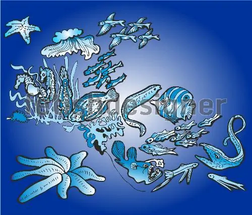 Underwater mauritius vector image