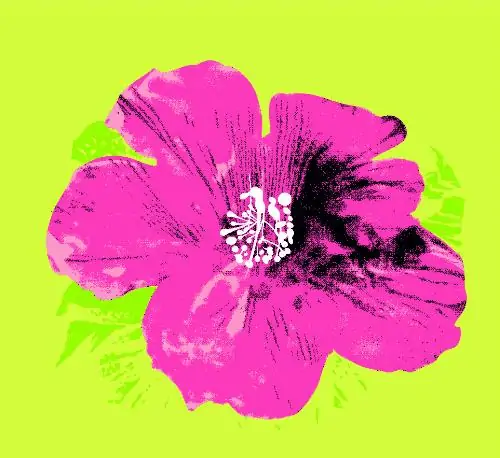 Vous les filles fleur